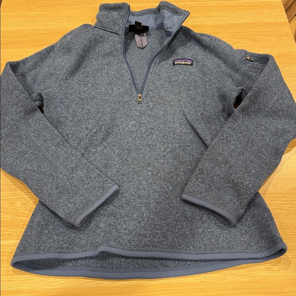 Patagonia Blue-Gray Fleece Pullover